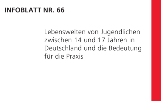 Infoblatt 66: Lebenswelten von Jugendlichen zwischen 14 und 17 Jahren in Deutschland und die Bedeutung für die Praxis